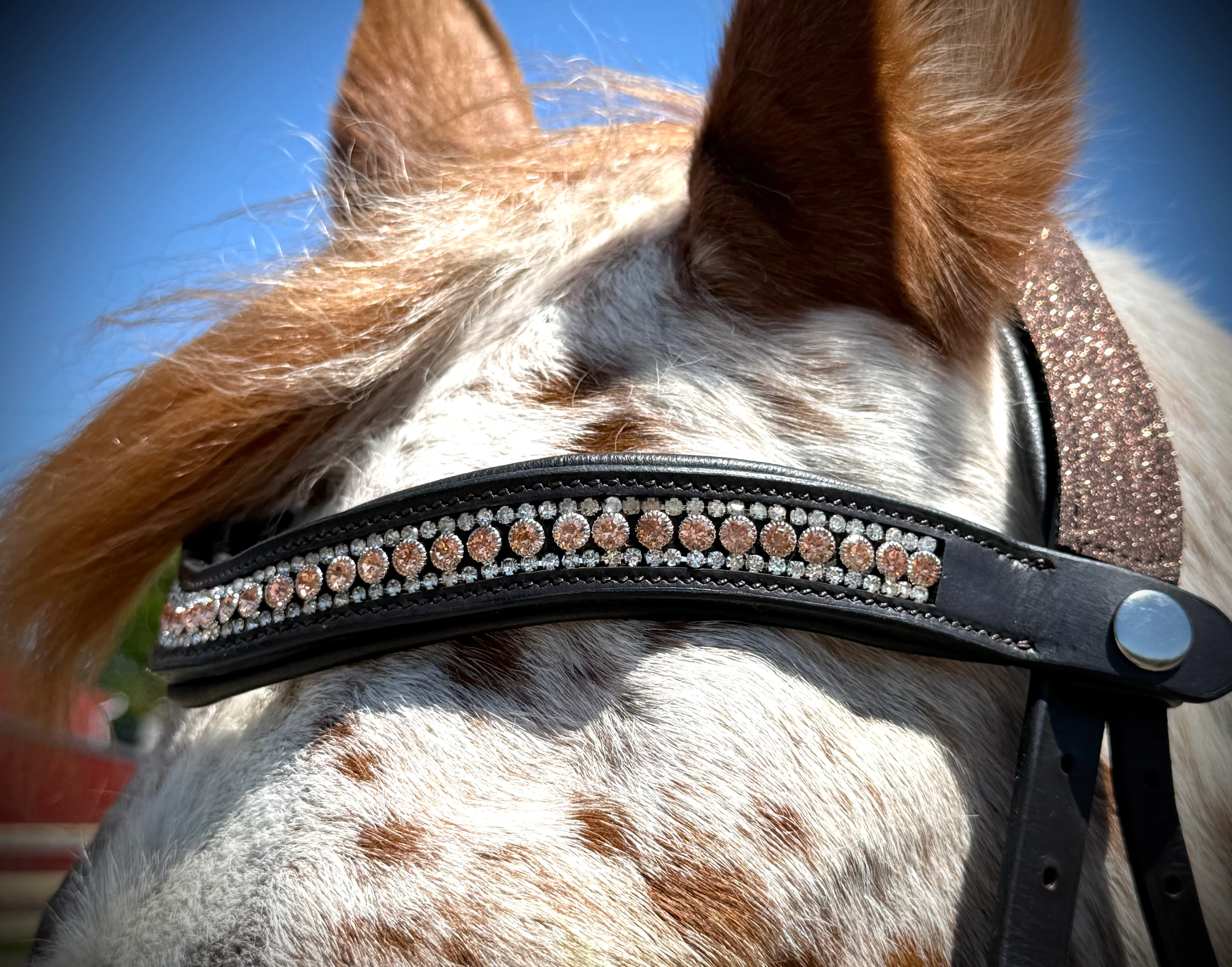 Snap-Out Browband Collection